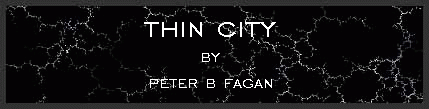 Thin City by Peter B Fagan