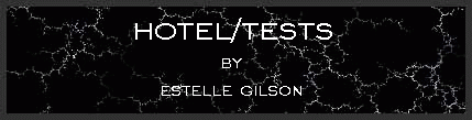 Hotel/Tests by Estelle Gilson