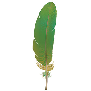 feather
