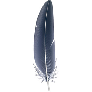 feather