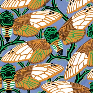 Insect Pattern