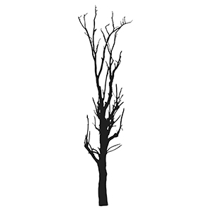 leafless tree