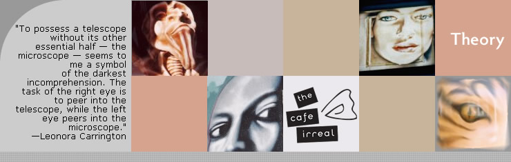 Cafe Irreal theory page