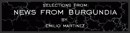 News from Burgundia by Emilio Martinez