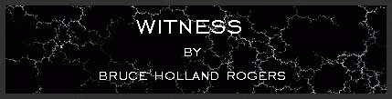 Witness by Bruce Holland Rogers