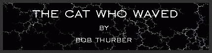 The cat who waved by Bob Thurber